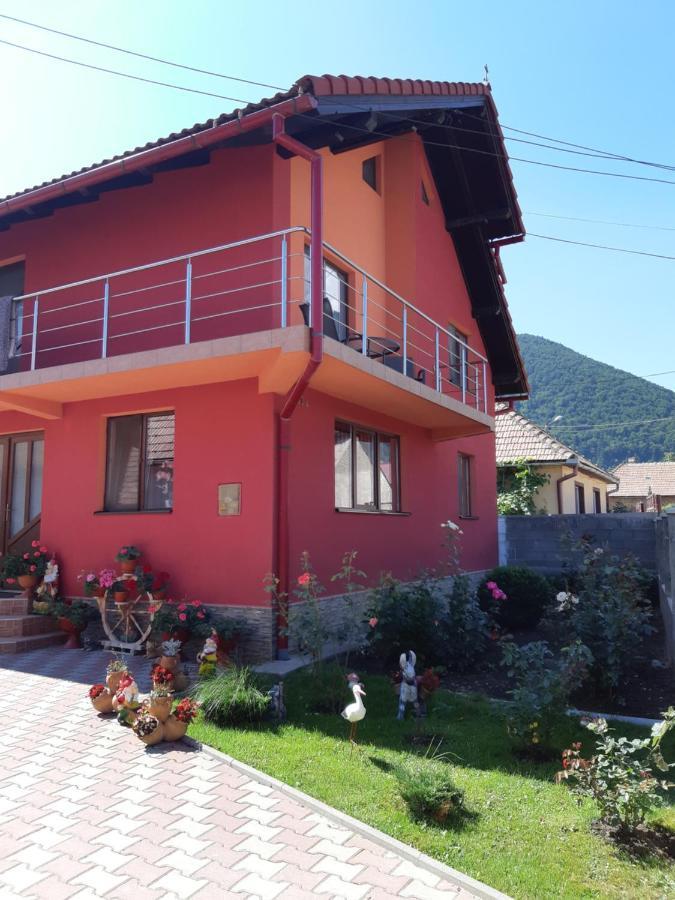 Vila Georgeta Zărneşti Exterior foto