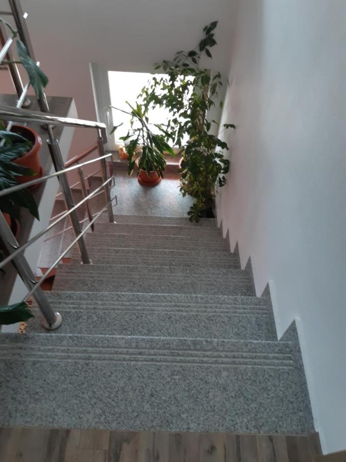 Vila Georgeta Zărneşti Exterior foto