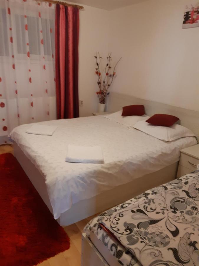 Vila Georgeta Zărneşti Exterior foto