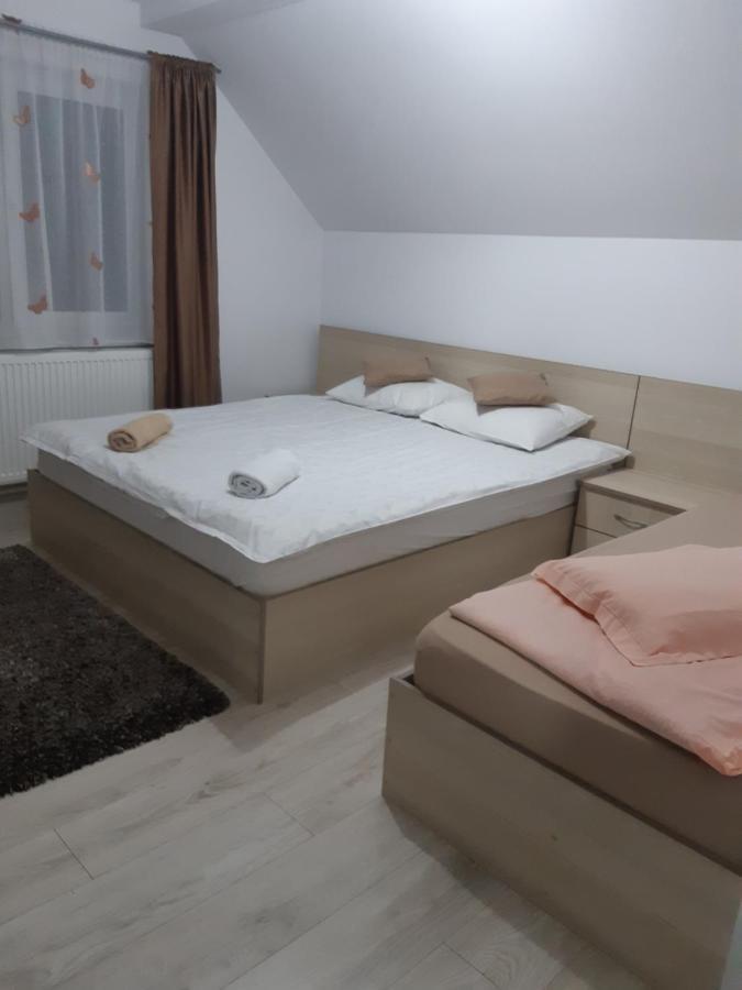 Vila Georgeta Zărneşti Exterior foto