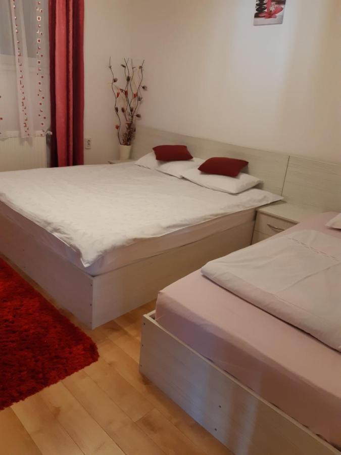 Vila Georgeta Zărneşti Exterior foto