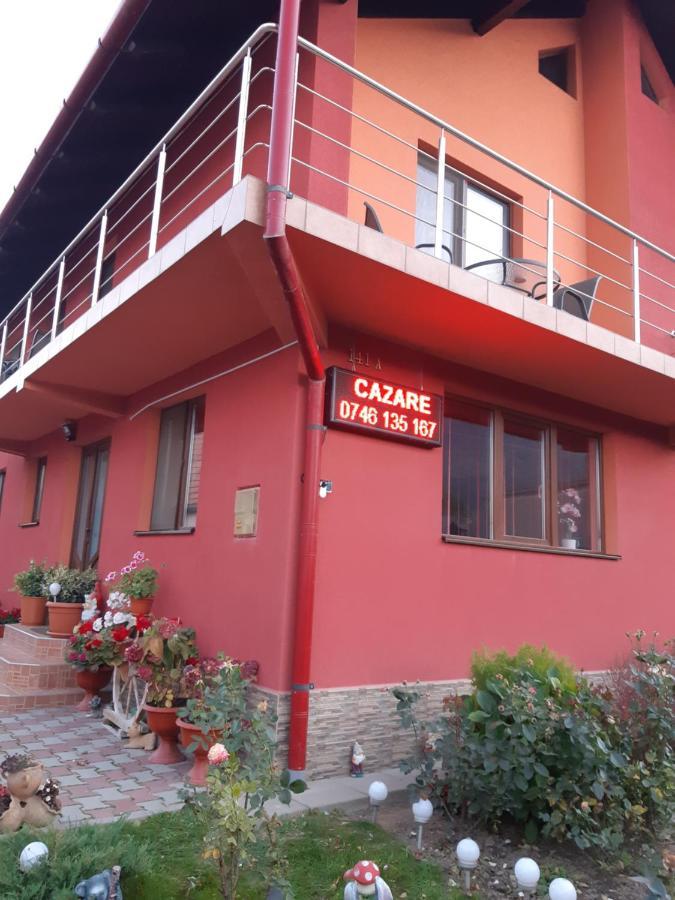 Vila Georgeta Zărneşti Exterior foto