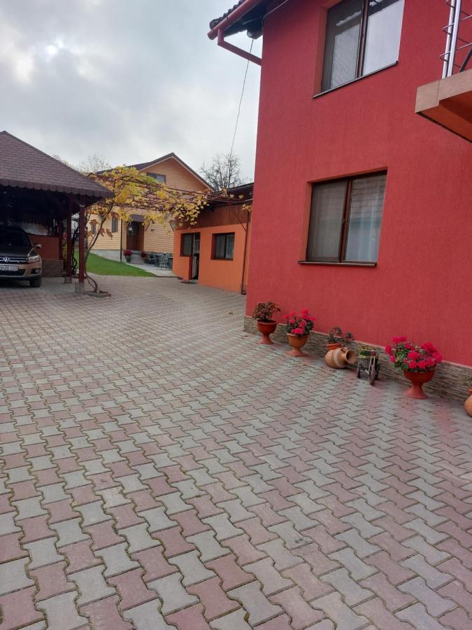 Vila Georgeta Zărneşti Exterior foto