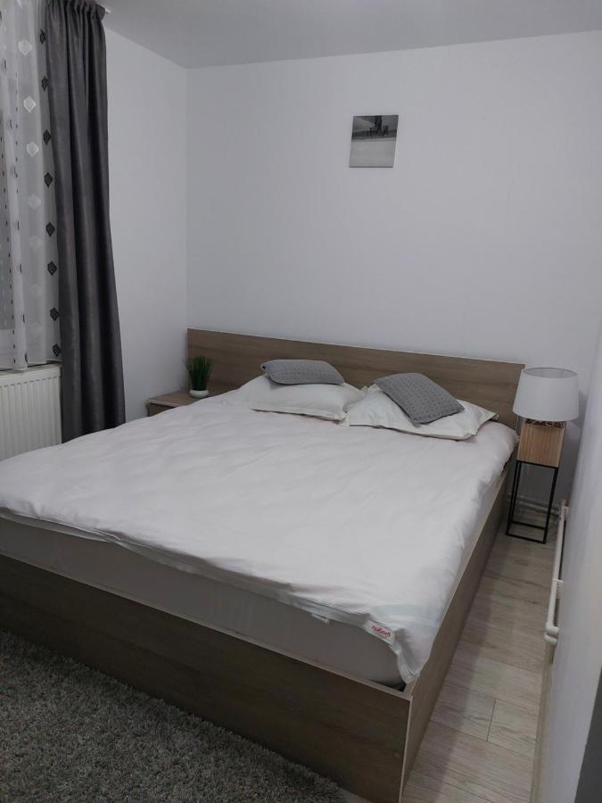 Vila Georgeta Zărneşti Exterior foto