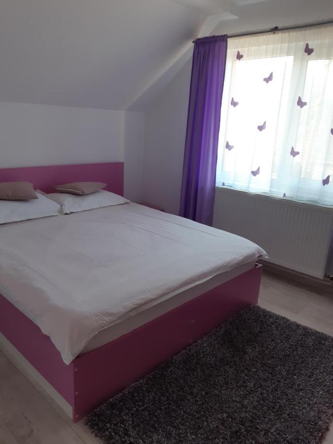 Vila Georgeta Zărneşti Exterior foto
