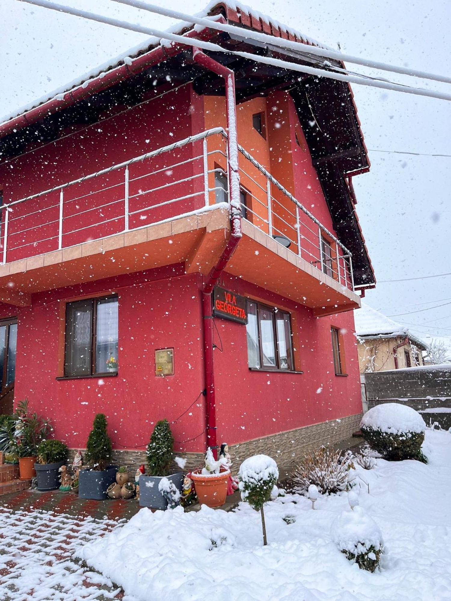 Vila Georgeta Zărneşti Exterior foto